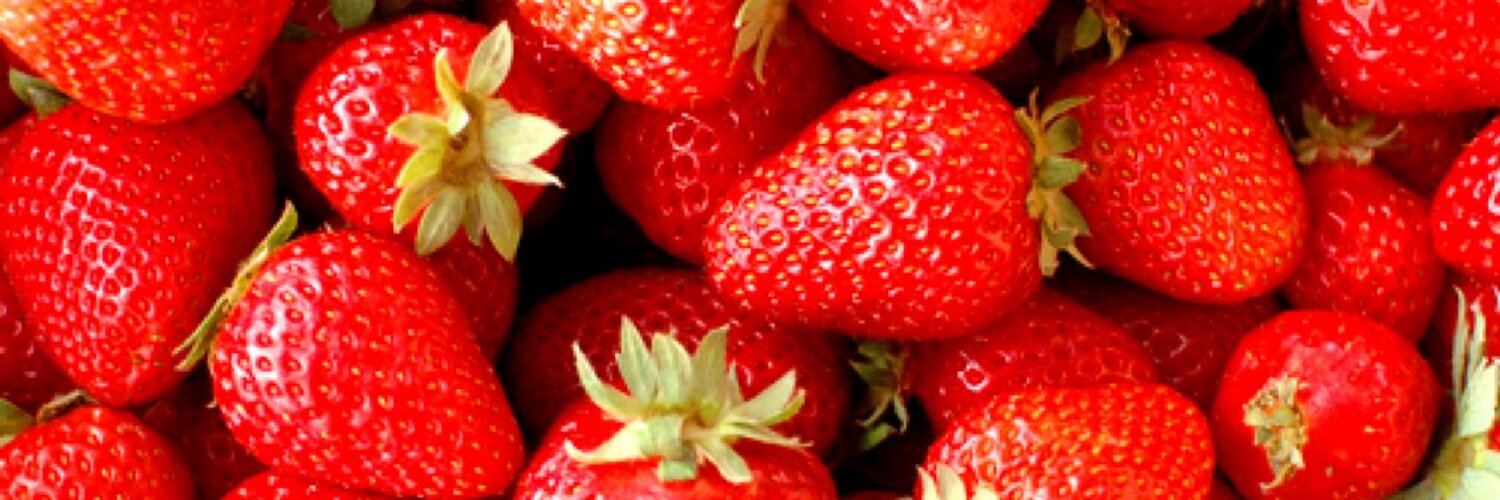 reta__04's profile banner image