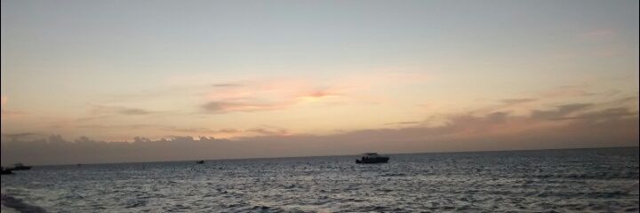 paolandu's profile banner image
