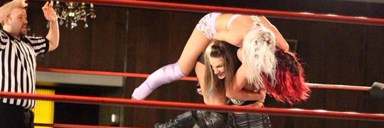 Holly banner