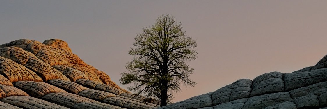 rw2489's profile banner image