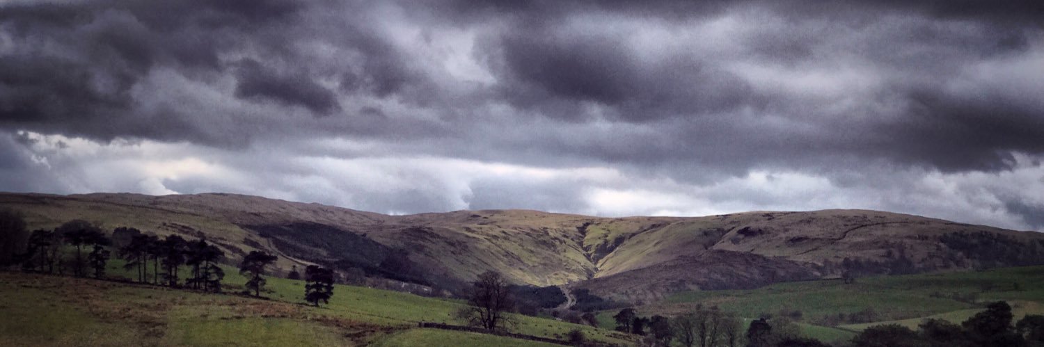 Flow Observatorium banner