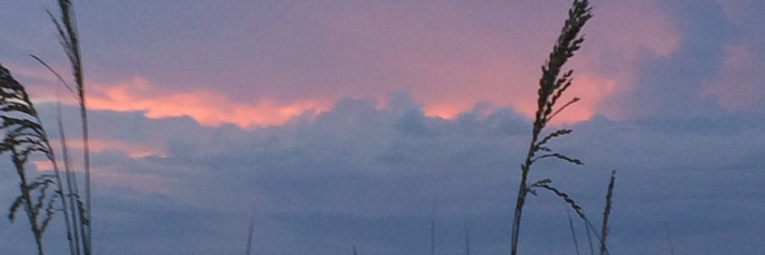 Bill Cronin - Author banner