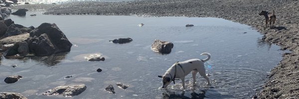 HMolinValdes Profile Banner