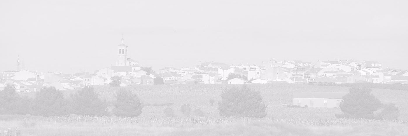 viloriosierte's profile banner image