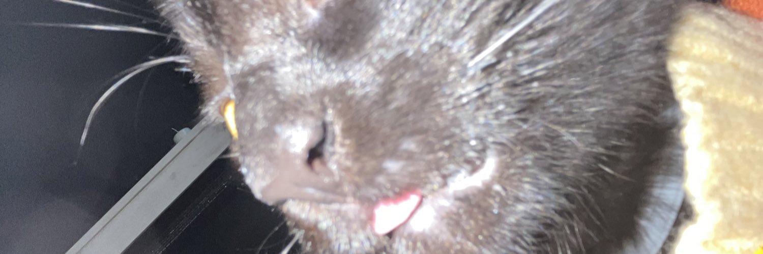 Ohissabeee's profile banner image