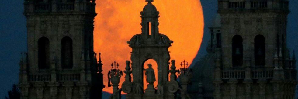 Cailleach🌙 banner