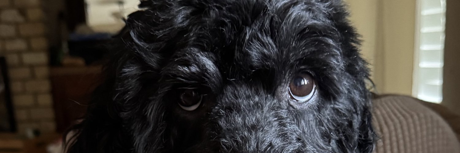 kaydb96's profile banner image