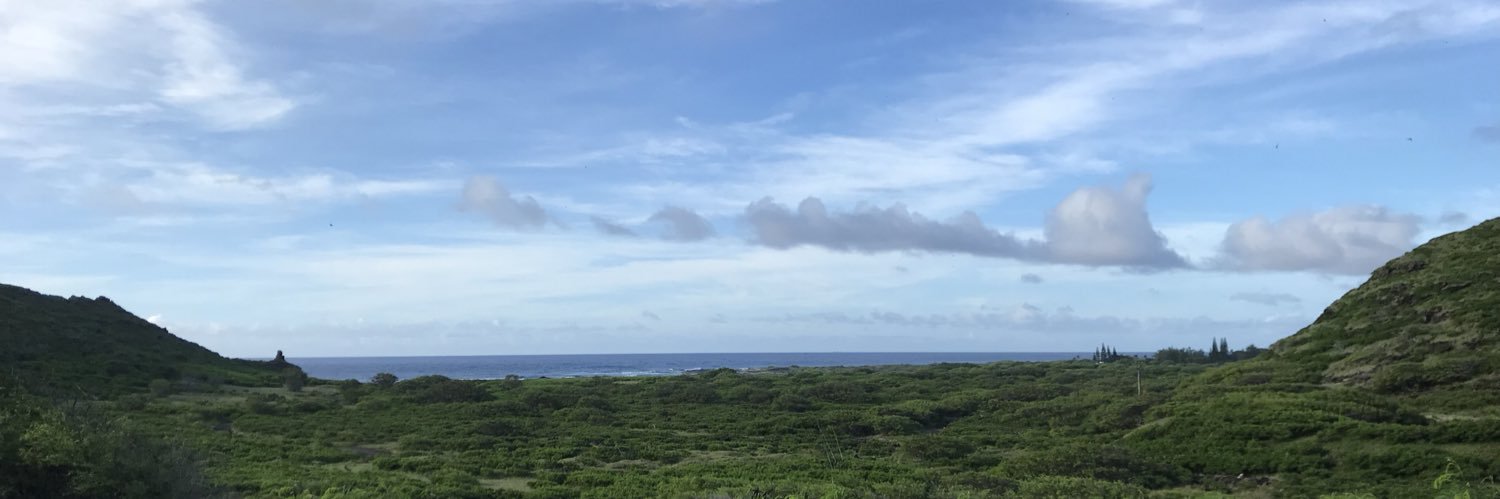naturallyright_'s profile banner image