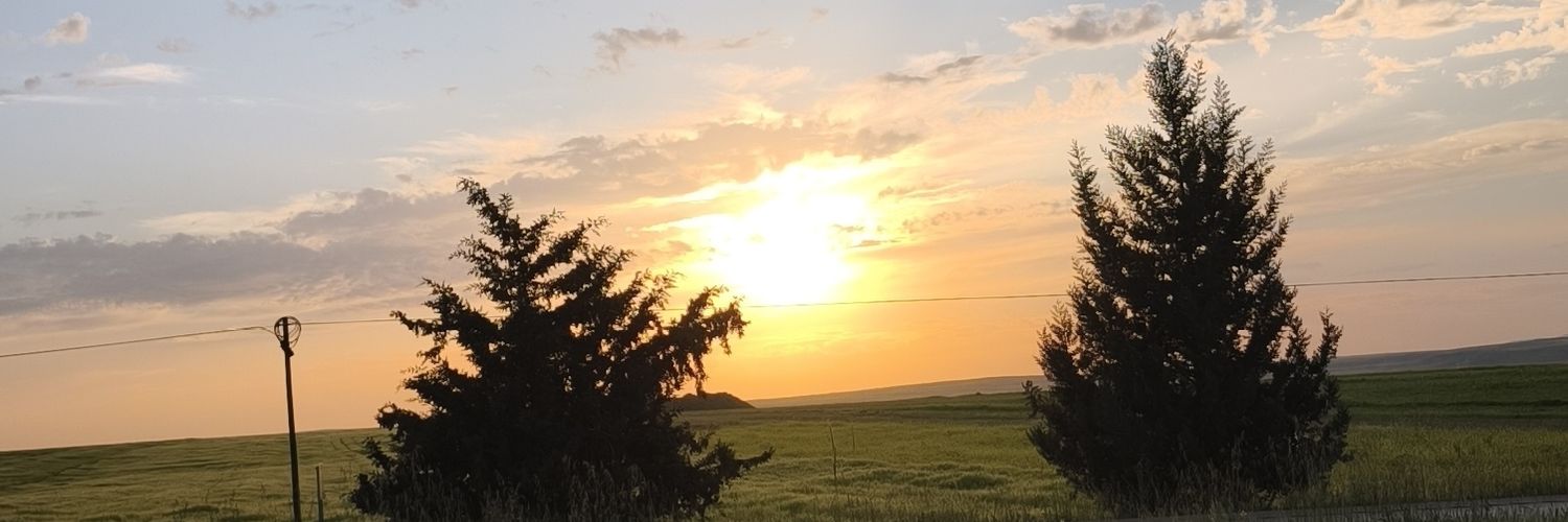 ysn_tevhid's profile banner image