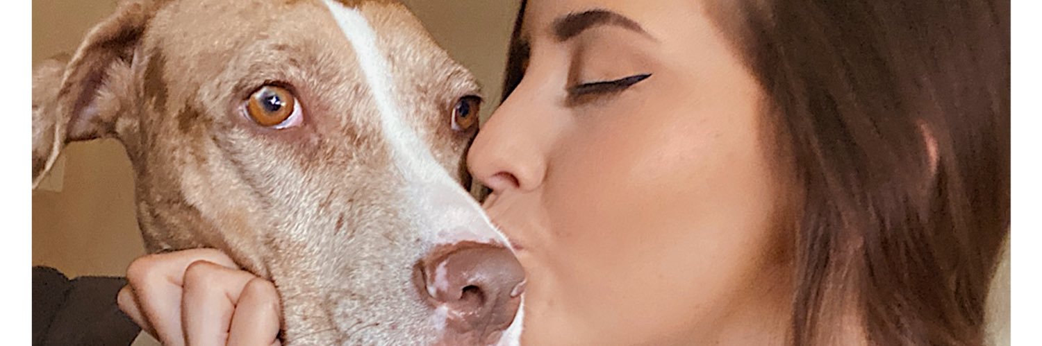 KiiittyKate's profile banner image