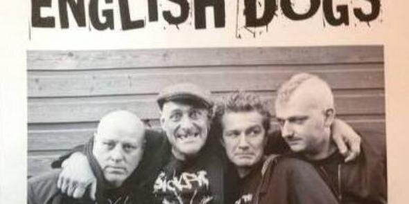 EnglishDogs PunkRock banner