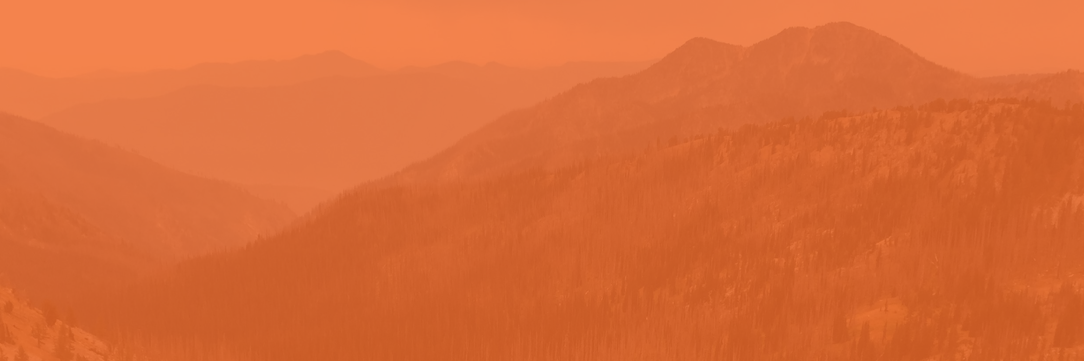 OrganicReturn's profile banner image