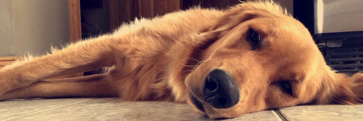 love_brooke1's profile banner image