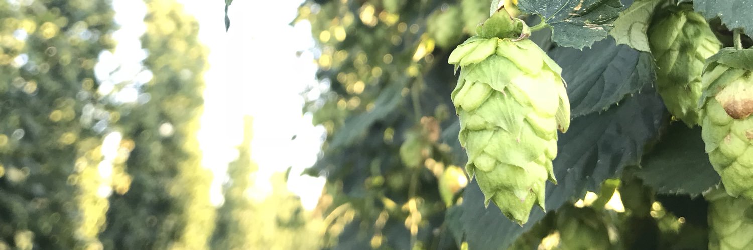 GoodPour's profile banner image