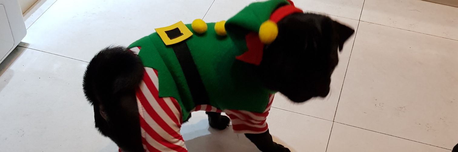 FloydWendie's profile banner image