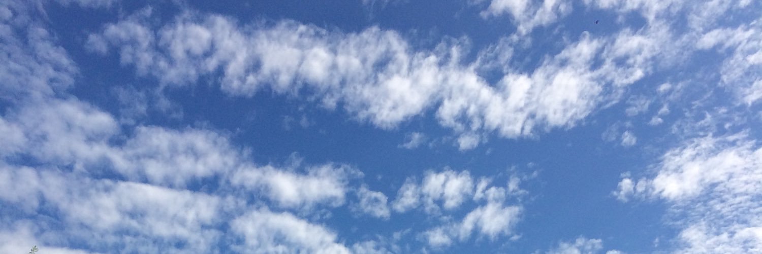 AlexWitt_31's profile banner image