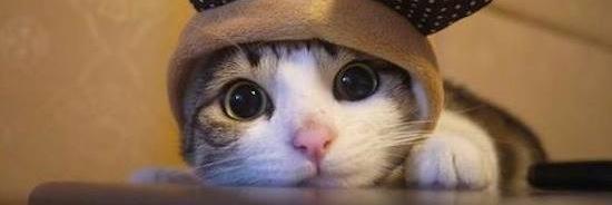 ajmarcos_'s profile banner image