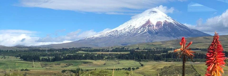 Emilio Uzcátegui banner