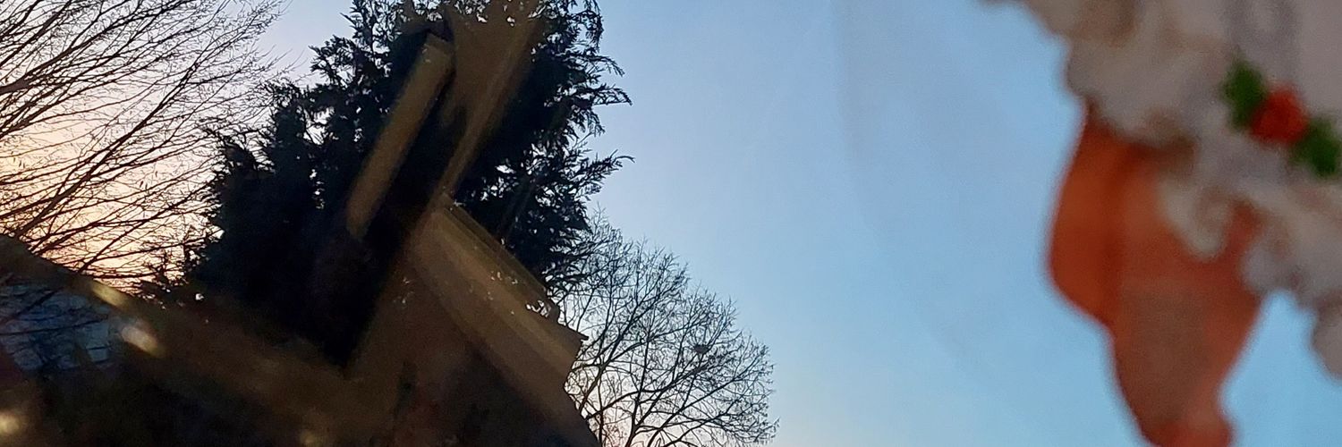Laura3112_'s profile banner image