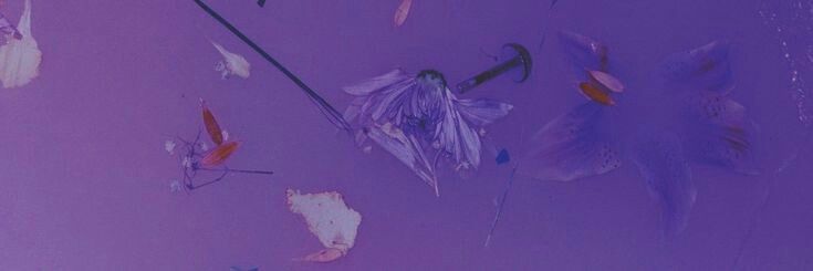 NidiaPA08's profile banner image