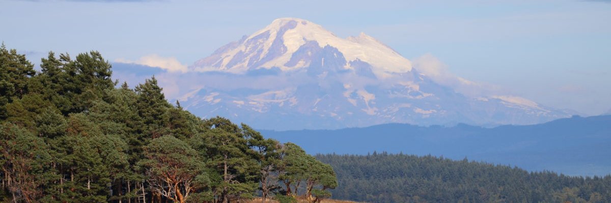 🏳️‍🌈 Jacoby Brissett Fan Club 🏳️‍🌈 banner