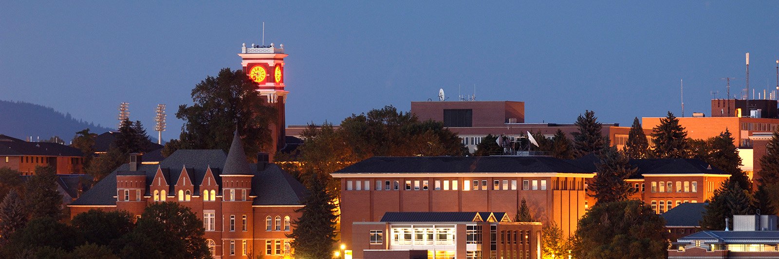 WSUTransport's profile banner image