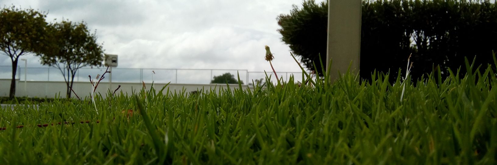 Jaredbryanruiz2's profile banner image
