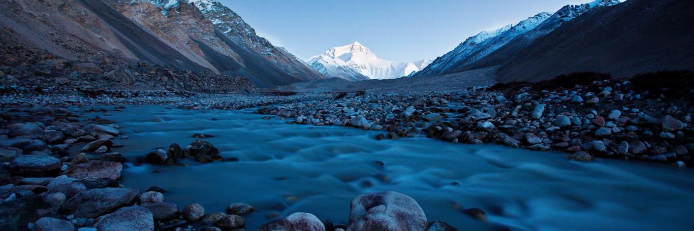 Monica Berrondo banner