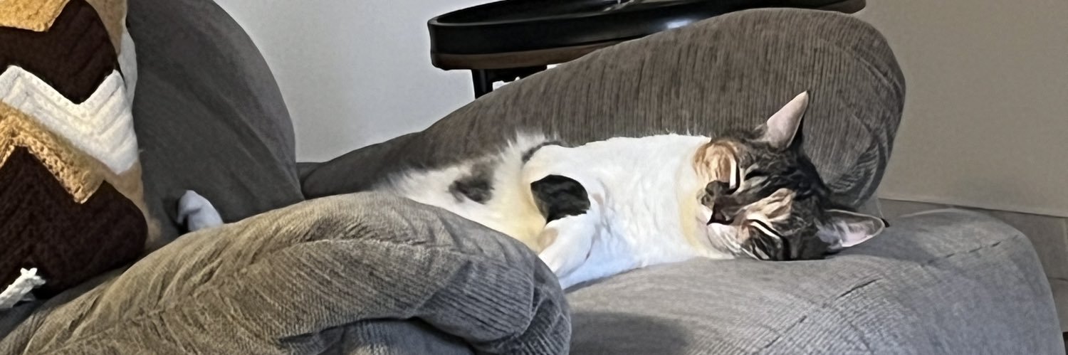dontbeagoof's profile banner image