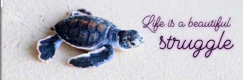 Tamera Jones, M.Ed. banner