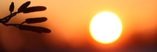 TomKlute Profile Banner