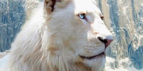 aphrodite_pr's profile banner image