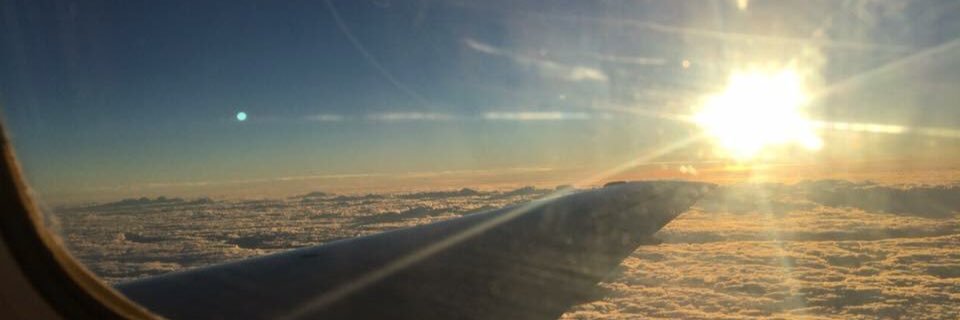 roseegallo's profile banner image