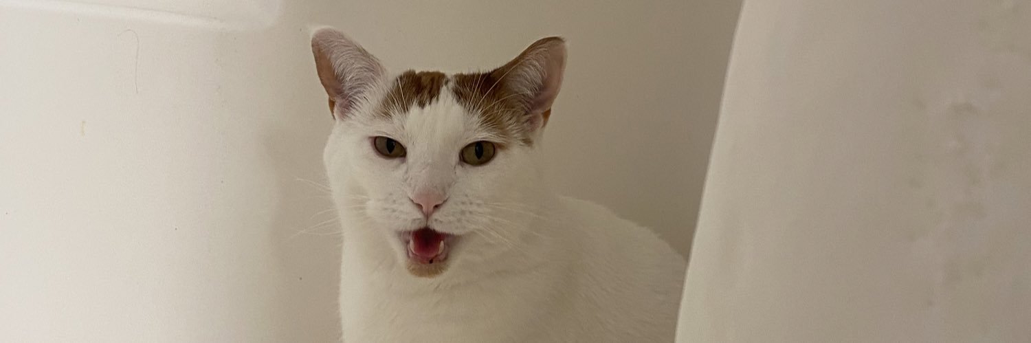 KellyWynn2's profile banner image