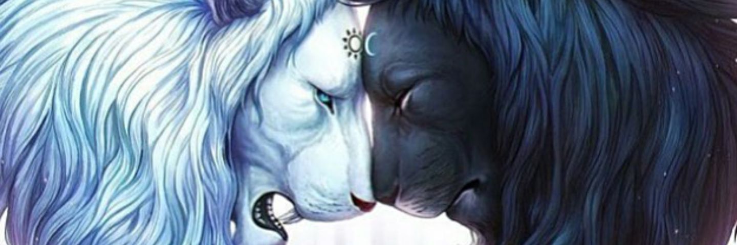 orhanstadl's profile banner image