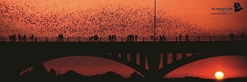 AtxTrafficMan's profile banner image