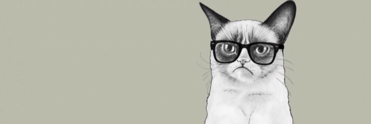 MerveBalll's profile banner image