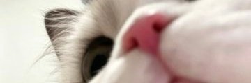 martiano3's profile banner image