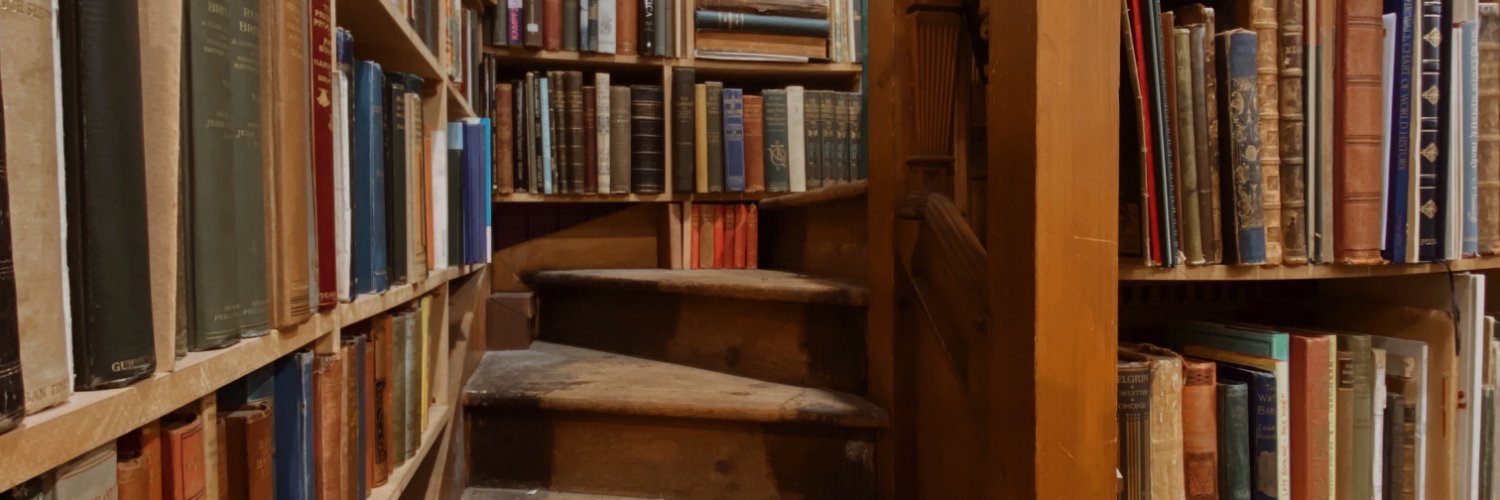 molly_wetta's profile banner image