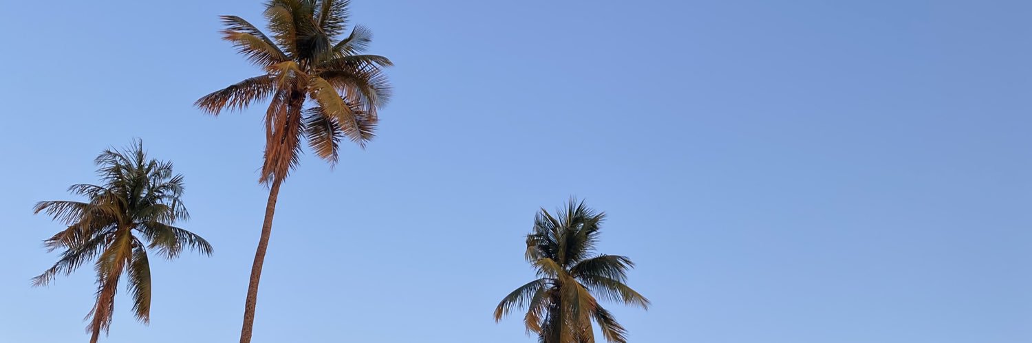 patrickjuniogv's profile banner image