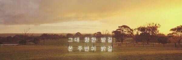 sonchaeyoungcom's profile banner image