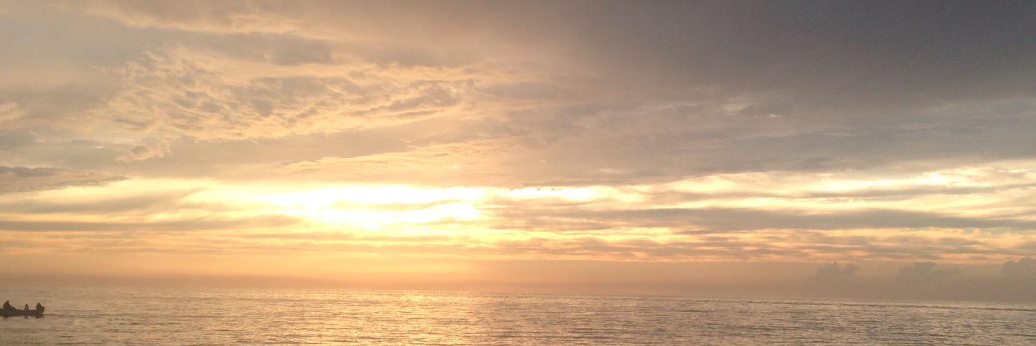 Joanna Trybuchowska banner