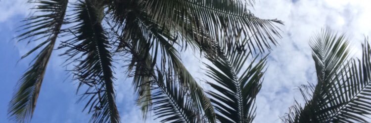 mickijungwirth3's profile banner image