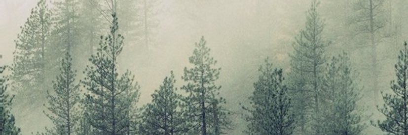 RobTalbot85's profile banner image