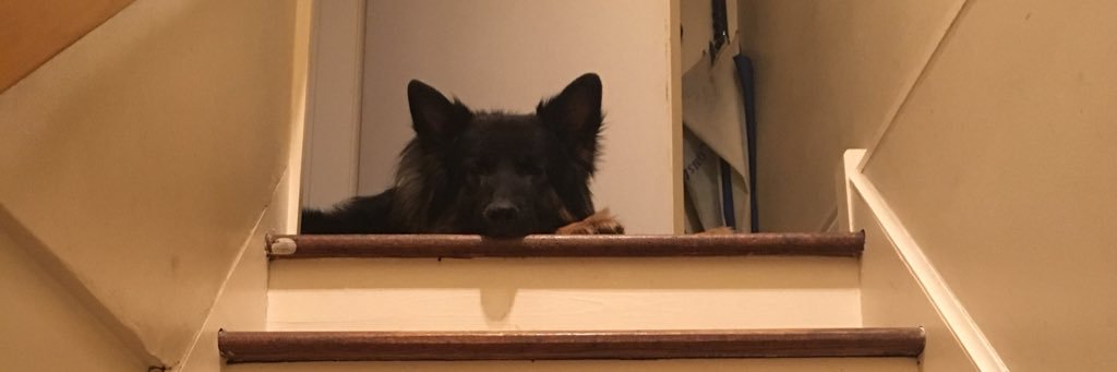 SabWeebWee23's profile banner image