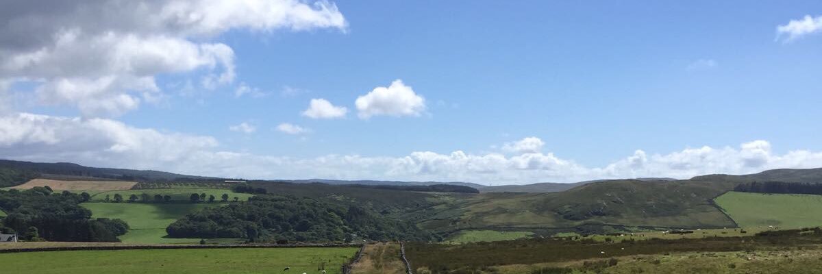 CatFrielLeclerc's profile banner image