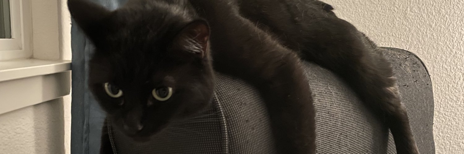 ElirScott's profile banner image