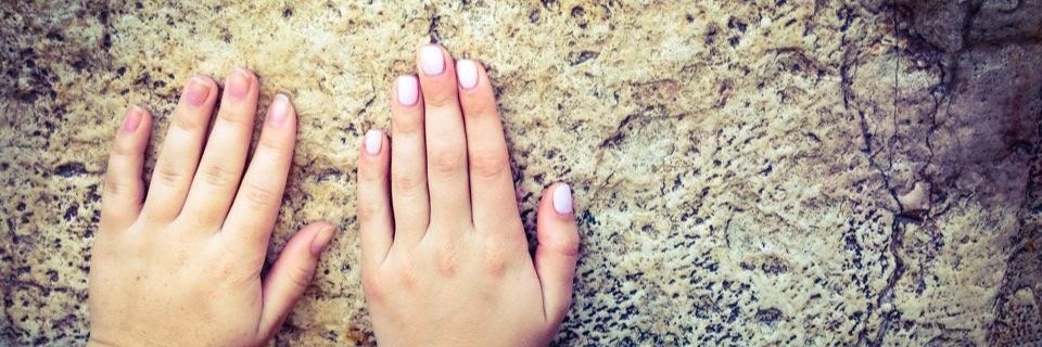 edenshapiro16's profile banner image