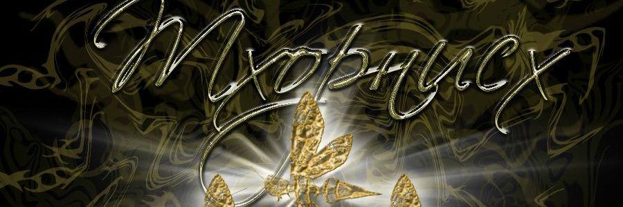 Ana Valder banner