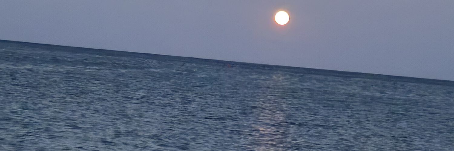 shuhbedoo's profile banner image